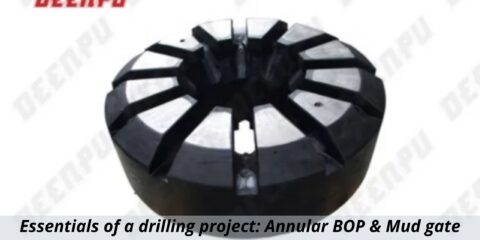 Essentials of a drilling project Annular BOP & Mud gate