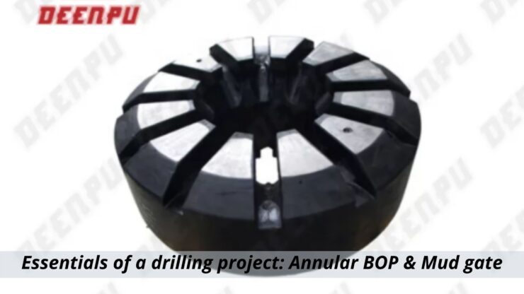 Essentials of a drilling project Annular BOP & Mud gate