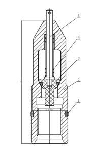 bpv and two way check valve