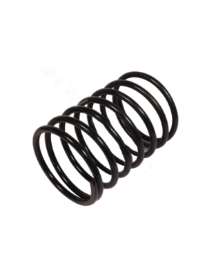 Valve Spring