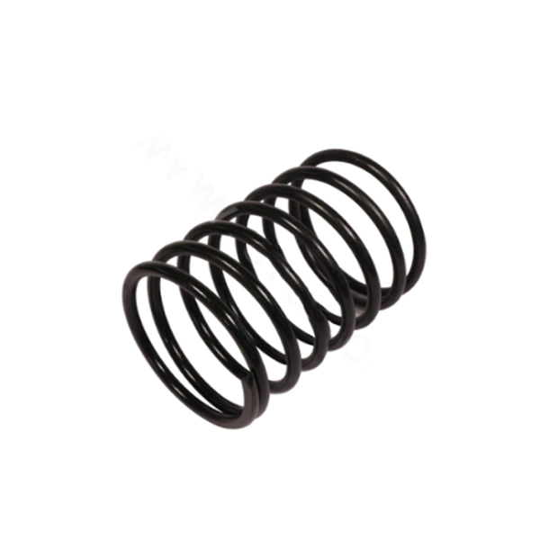 Valve Spring